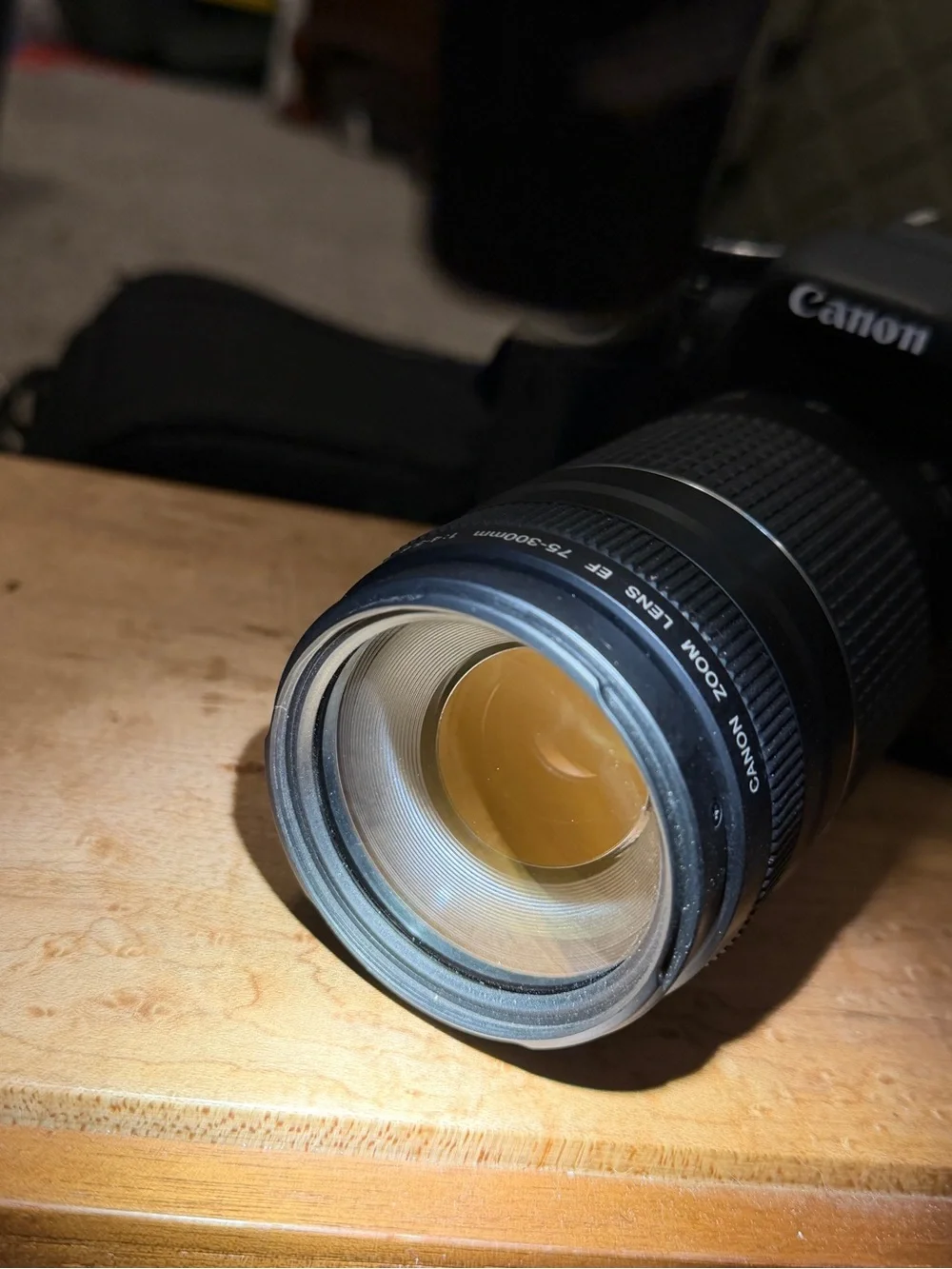 Canon DSLR Camera with Black Telephoto Zoom Lens